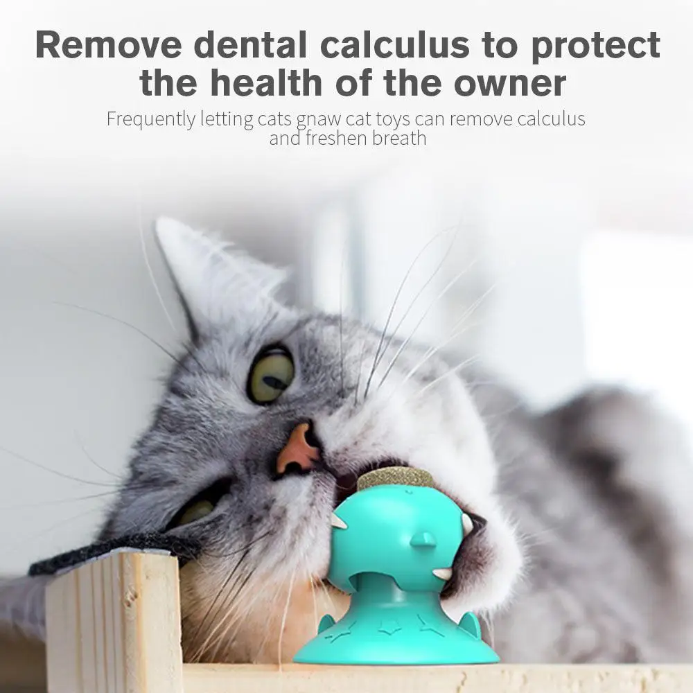 edible cat toys