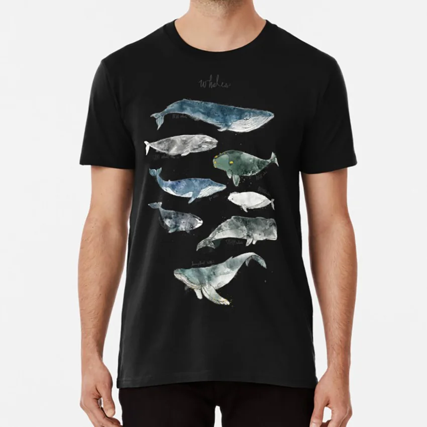 

Whales T Shirt Whales Whale Humpback Gray Blue Beluga Animals Nature Watercolor Children