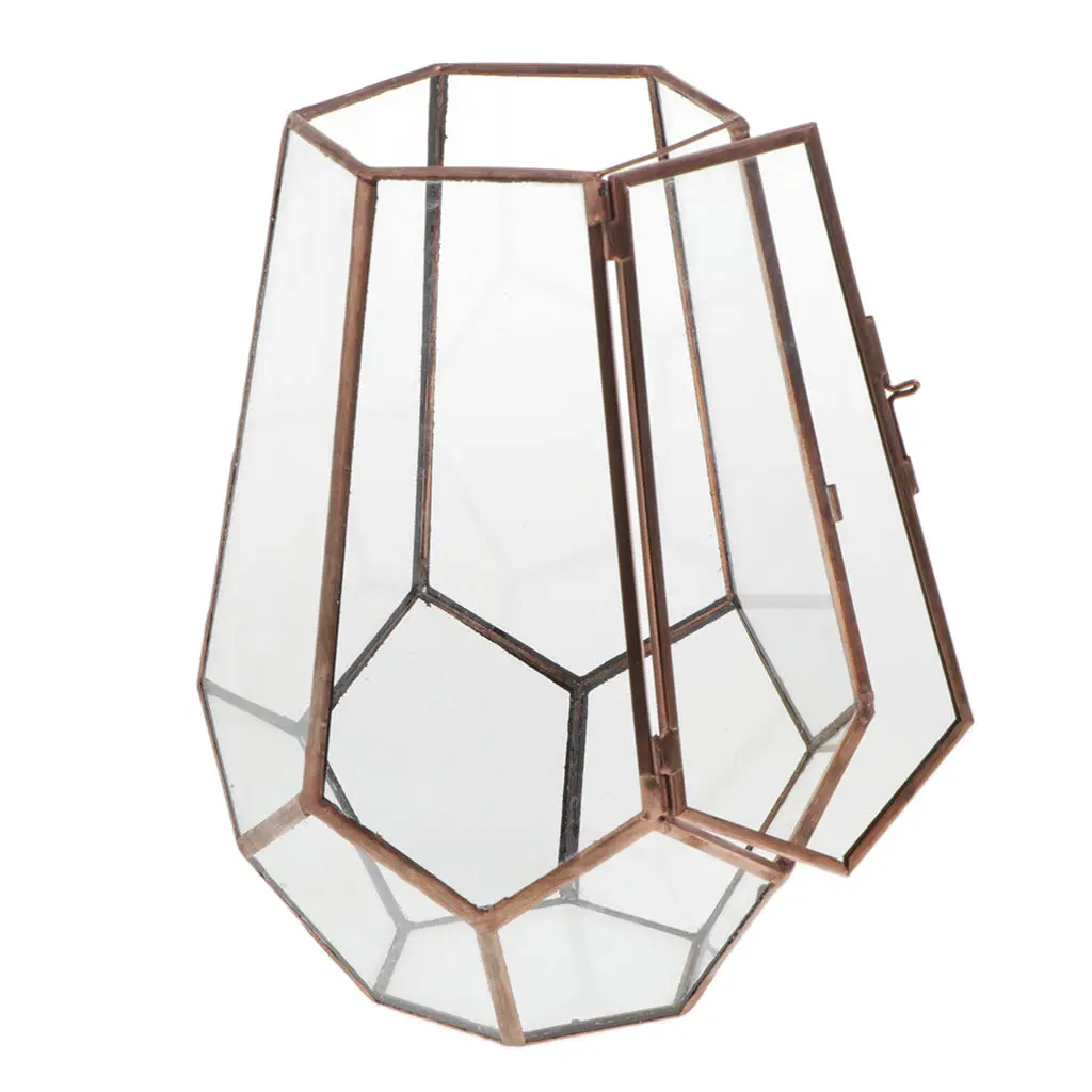 Unique Glass Hexagonal Geometric Terrarium for Succulent &amp Air Plant - Tall (5.71 x 5.32 7.87 inches) | Дом и сад