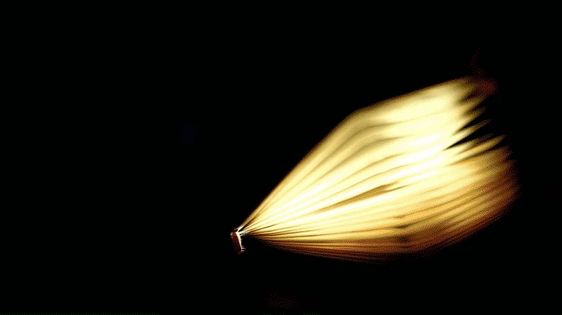 2403191883_777443575