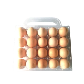 

10 pcs Egg Storage Box Transparent 20 Grids Plastic Egg Tray with Handle Portable Egg Packaging Box