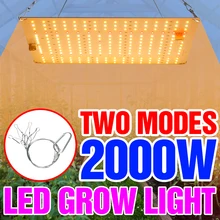 

Phytolamp For Plants 2000W Led Grow Light Full Spectrum Lamp Hydroponics Flower Seeds Greenhouses Quantum Board Grow Tent 1000W