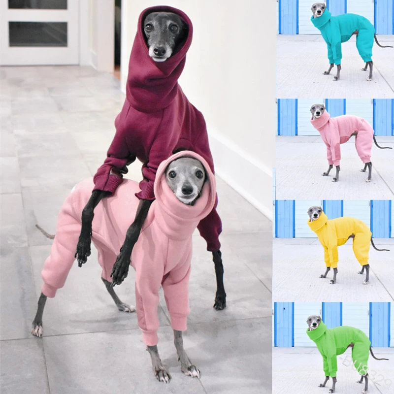 Greyhound Clothes Autumn and Winter Warm Base Coat High Collar Clothes