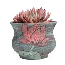 Ручная роспись грубой керамики суккулентный цветочный горшок большого калибра группа бассейна матовый и дышащий бассейн Домашний Настольный Декор