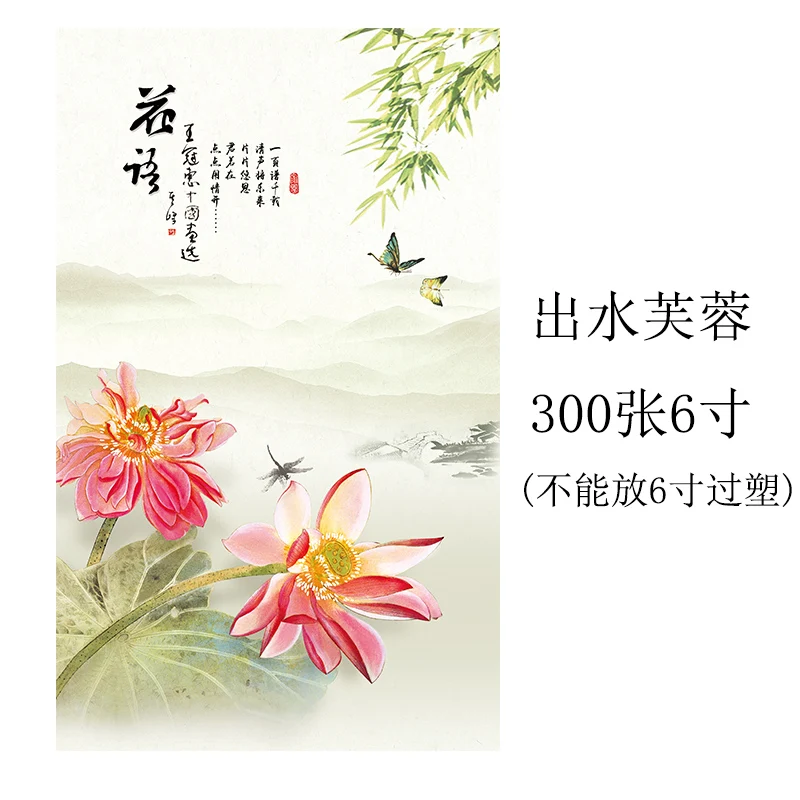 Семейный фотоальбом 6 дюймов 4R подарок Интерстициальная масса 300 Zhangjia Ting шесть дюймов детский альбом большой подарок детский фотоальбом - Цвет: 300 sheets 6 inches