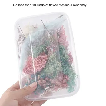 

1 Box Real Dried Flower Dry Plants For Aromatherapy Candle Epoxy Resin Pendant Necklace Jewelry Making Craft DIY Accessories