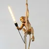 Gold-rope monkey
