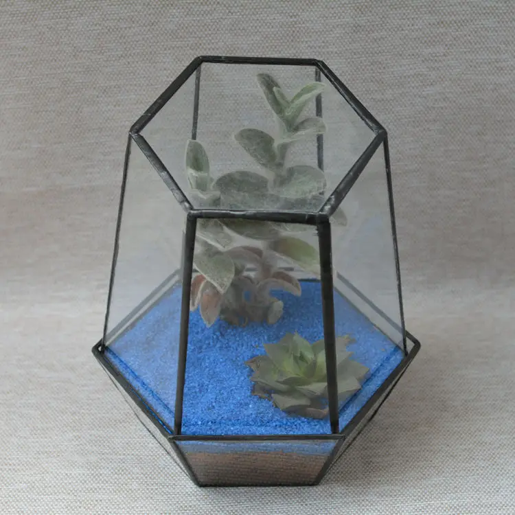 

Supply of Goods New Creative Glass Greenhouse Raise Micro Landscape Flowerpot Container New Succulents Bonsai Container