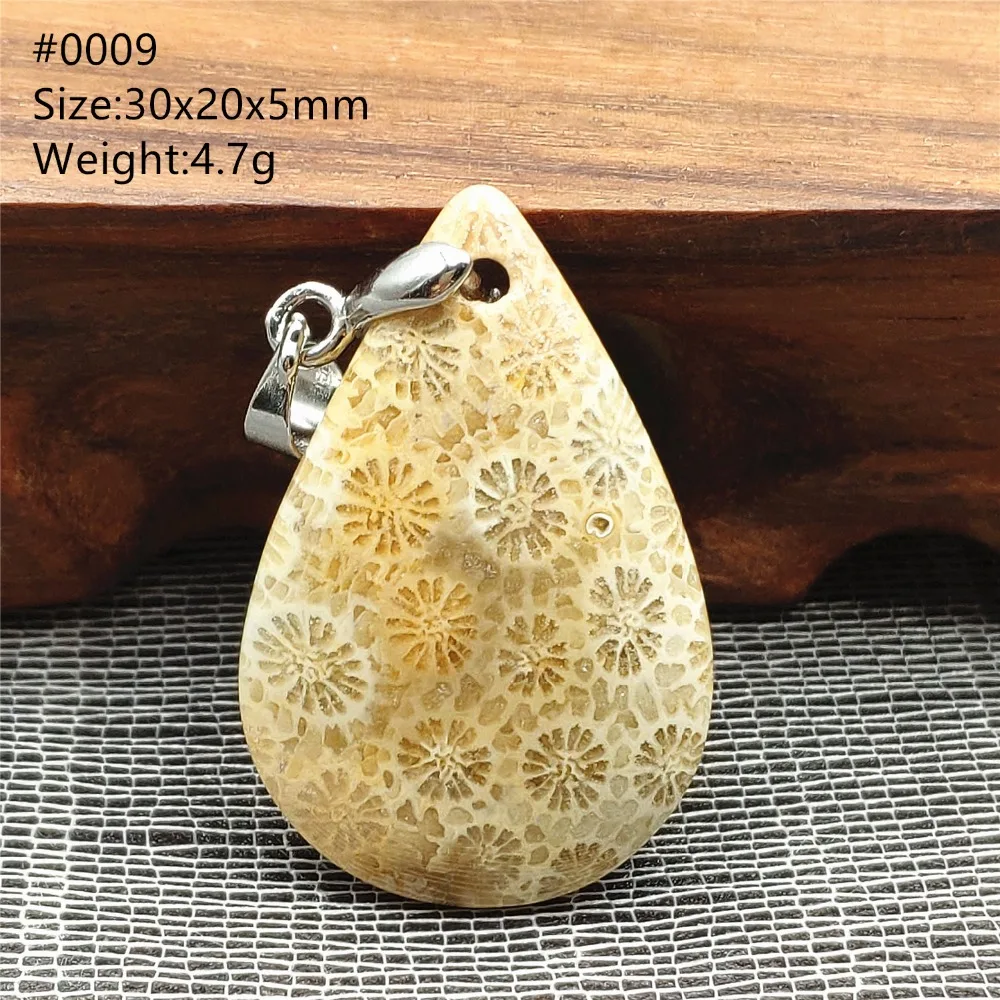 SHP0009 (3)