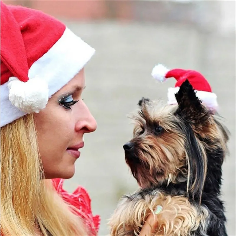 1 шт., Рождественская шапка Санта-Клауса, маленькая плюшевая шапка для домашних животных, собак, кошек, детей, Новогоднее украшение, головной убор, аксессуары для домашних животных