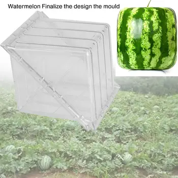 

SOLEDI 2 Shape Strong Watermelon Mold Melon Grower Plant Farmland Pumpkin Mould Botany Garden Transparent Fruit