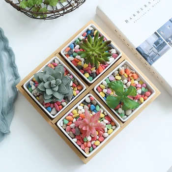 

Succulent Flower Pots Home Decoration Nordic Simple Style Interior Decoration Outdoor Garden Accessories
