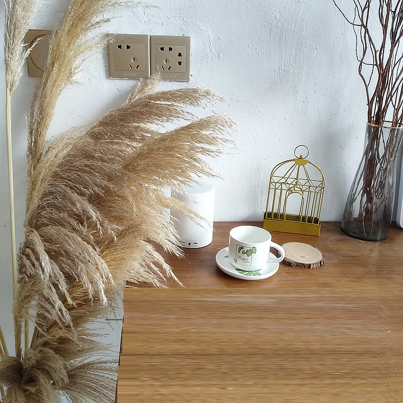 3pcs 55cm/80cm Natural Dried Big Pampas Grass Phragmites Wedding Ceremony Home Reed Plants Valentine's Day Party Decoration