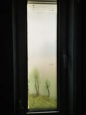 Стеклянная фольга с рисунком леса, статическая виниловая матовая индивидуальная декоративная Тонирующая пленка для дверей, окон, шкафов, шкафов 55 см x 100 см