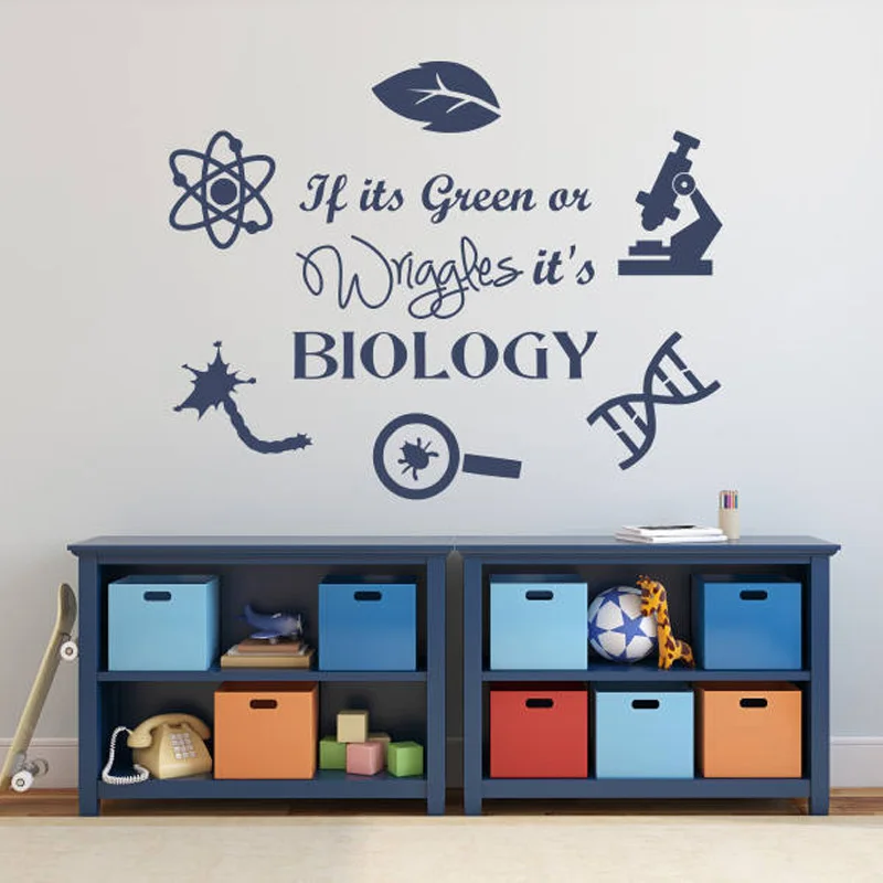 Подарок учителю биологии стикер на стену Science Наклейка классная школьная