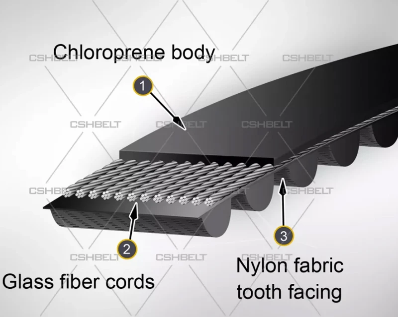 Structure of timing belt