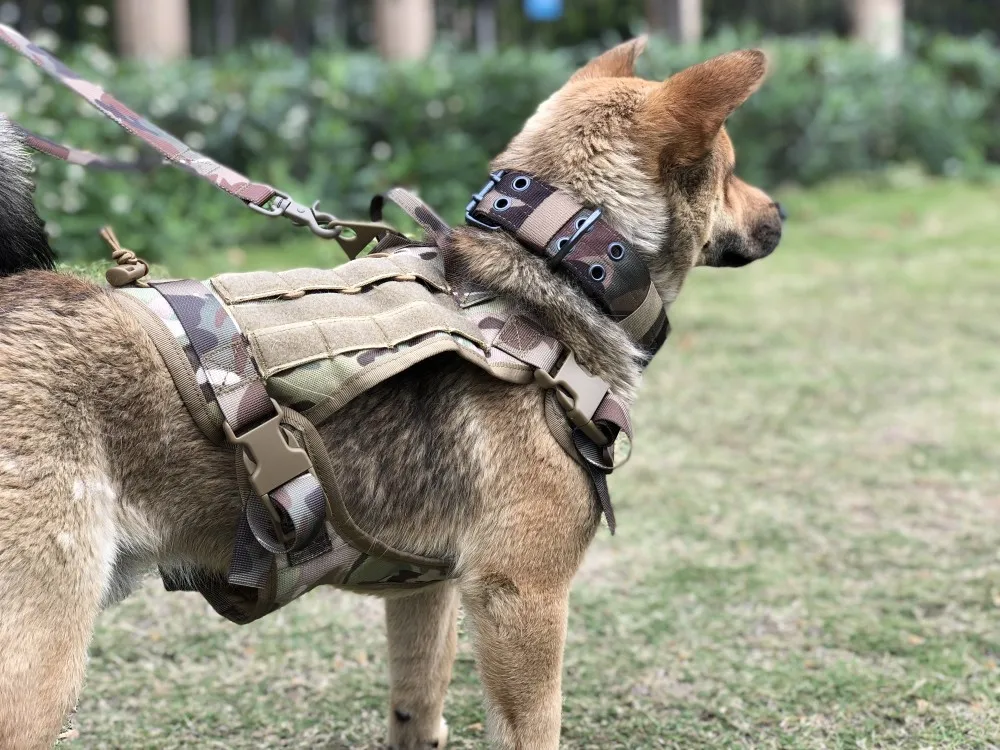 Tactical Training Dog Vest