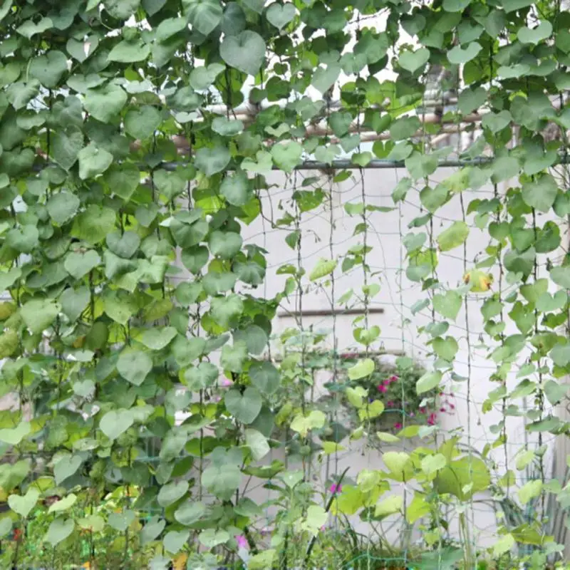 1,8x2,7 м рама садовая зеленая нейлоновая поддержка скалолазание фасоли растение фрукты овощи сад трельяж сетка