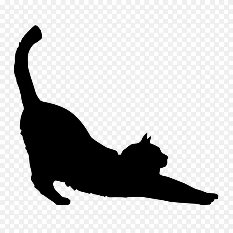 猫咪剪影 黑白相间 胡须 剪影 尾巴 黑猫 中小型猫科动物 猫 动物免抠素材下载 图片id 2595954 动物元素 Png素材 素材宝scbao Com