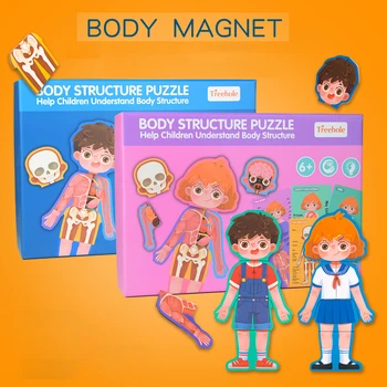 

Body structure puzzle educational toys science Help children understand body structure wood toy Teaching Human cognitive puzzles