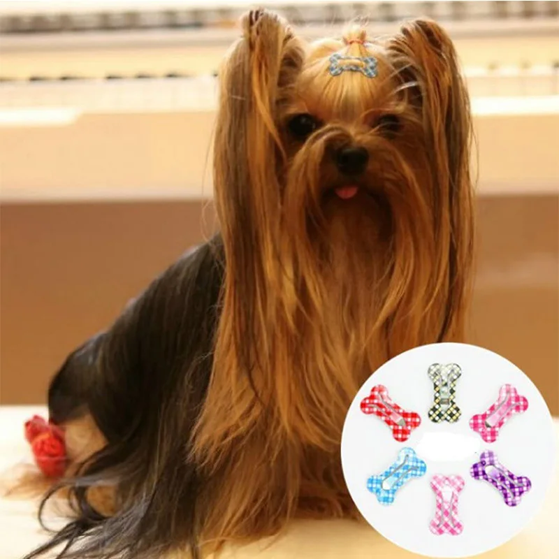 10Pcs Pet Hairpin Puppy Mini Dog Bone Hair Clips Pet Hair Grooming Clips Dog Hair Accessories Random color 5