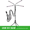 USB5V 36W With Stand