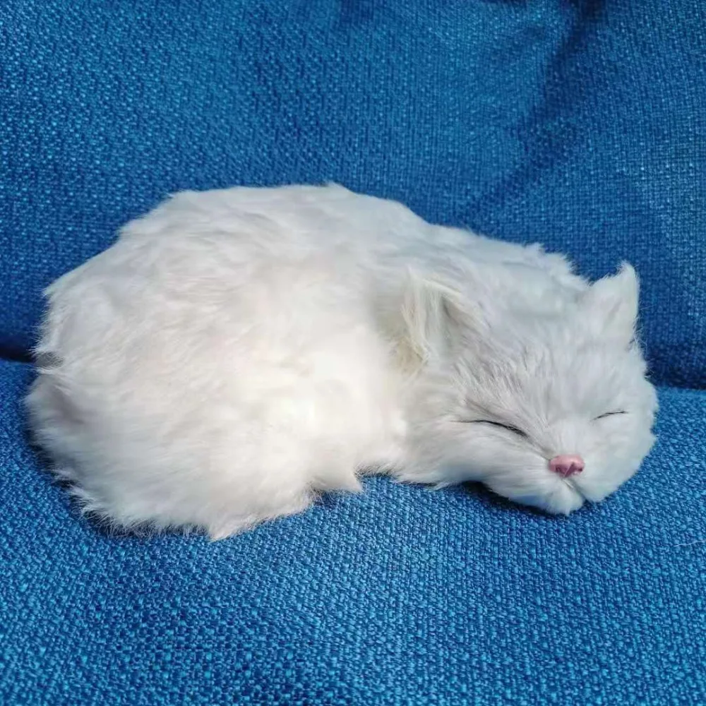 0f14eb7badfa2f0951f63aebfc1dcb1