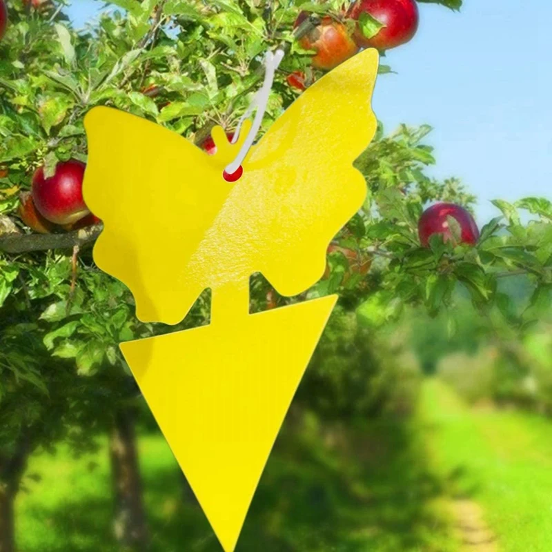20Pcs Trappola Appiccicosa Frutta Mosca E Trappola Gnat Trappole Appiccicose Gialle Per Uso Esterno Interno Insetto Catcher Per Mosche Bianche