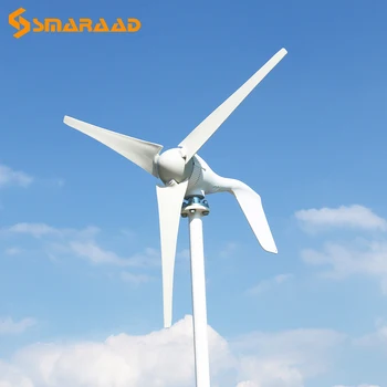 

High Efficient 400w 600w 800w Free Energy Horizontal Windmill 3/5/6 Blades Wind Turbine Generator 12v 24v With Free Controller