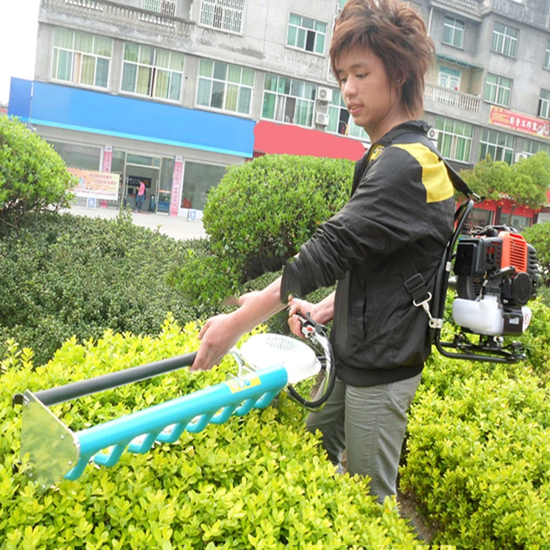 Customized Processing Factory Supply Gasoline Carrying Tea Machine 8-hole Bag Garden Tools Wholesale and Retail