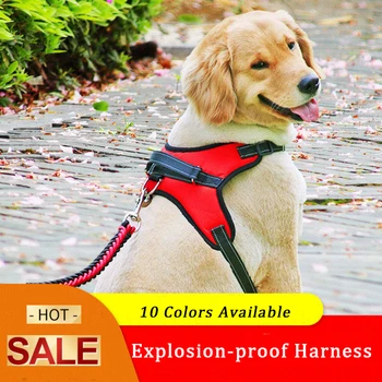 

Oxbridge Pet Harness Adjustable Padded Dog Leash Explosion-Proof Shock For Small Medium Dog Harnesses Vest Husky Dogs Supplies