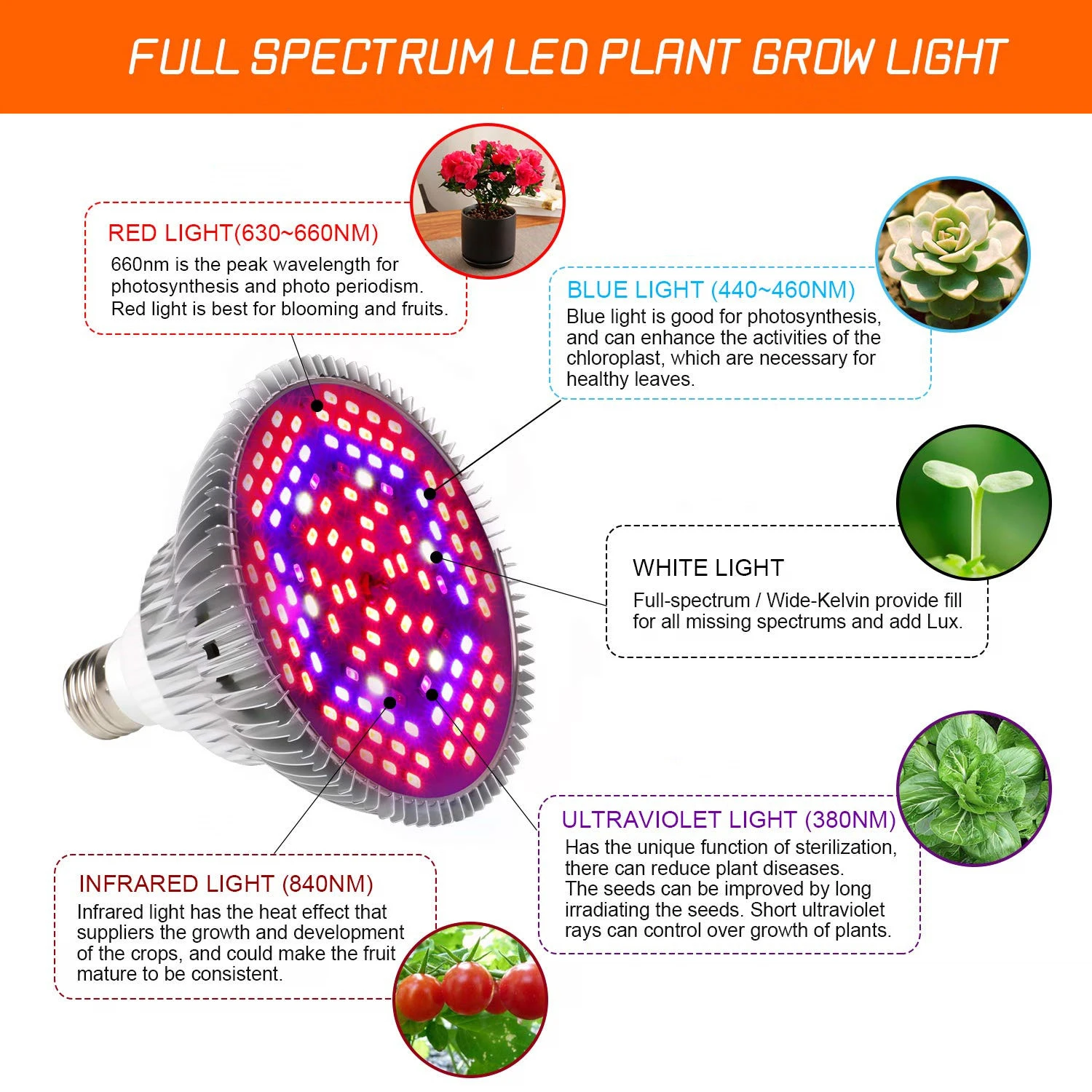 E27 полный спектр растений с/х Светодиодная лампа лампы 10 Вт 30 Вт 50 Вт 80 Вт 100 Вт растительная лампа для внутреннего Тепличный цветок семена садовые овощи