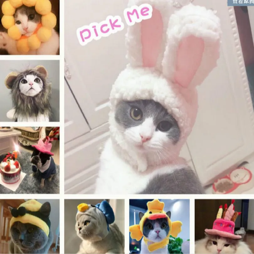 

dog hat dog cap dog hats suite for birthday fit cat free shipping