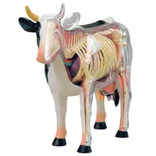 4D мастер Обучающие собранные игрушки животные биологические коровьи органы анатомическая медицина для обучения модели