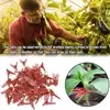 50PCS Plant Grafting Clip Plastic Gardening Tool For Cucumber Eggplant Watermelon, Round Mouth Flat Mouth Anti-fall Clamp ► Photo 2/6