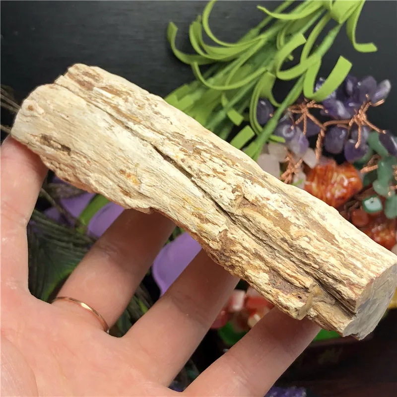 Природный окаменелый деревянный окаменелый камень сырой Рок Кристалл кварц минеральный с лечебным действием, образцы рейки домашний декор - Цвет: 180g