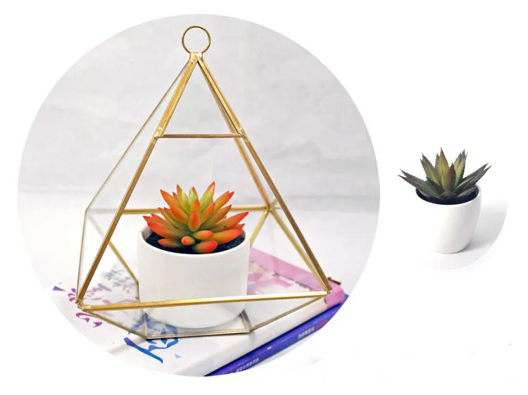 Настольный Террариум стеклянный геометрической формы коробка горшок воздушные растения плантатор суккулентный стеклянный цветочный комнатный Декор