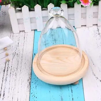

Display Glass-Cover Diamond Design Vast Miniature Admire-View Decoration Gift