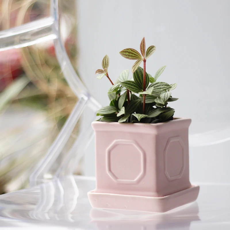 Fiore Di Colore Della Caramella Vaso Di Fiori Balcone Scrivania Decorazioni Pentola De Fleur Fioriera Rettangolare Petit Pentole Indoor Macete Doniczk