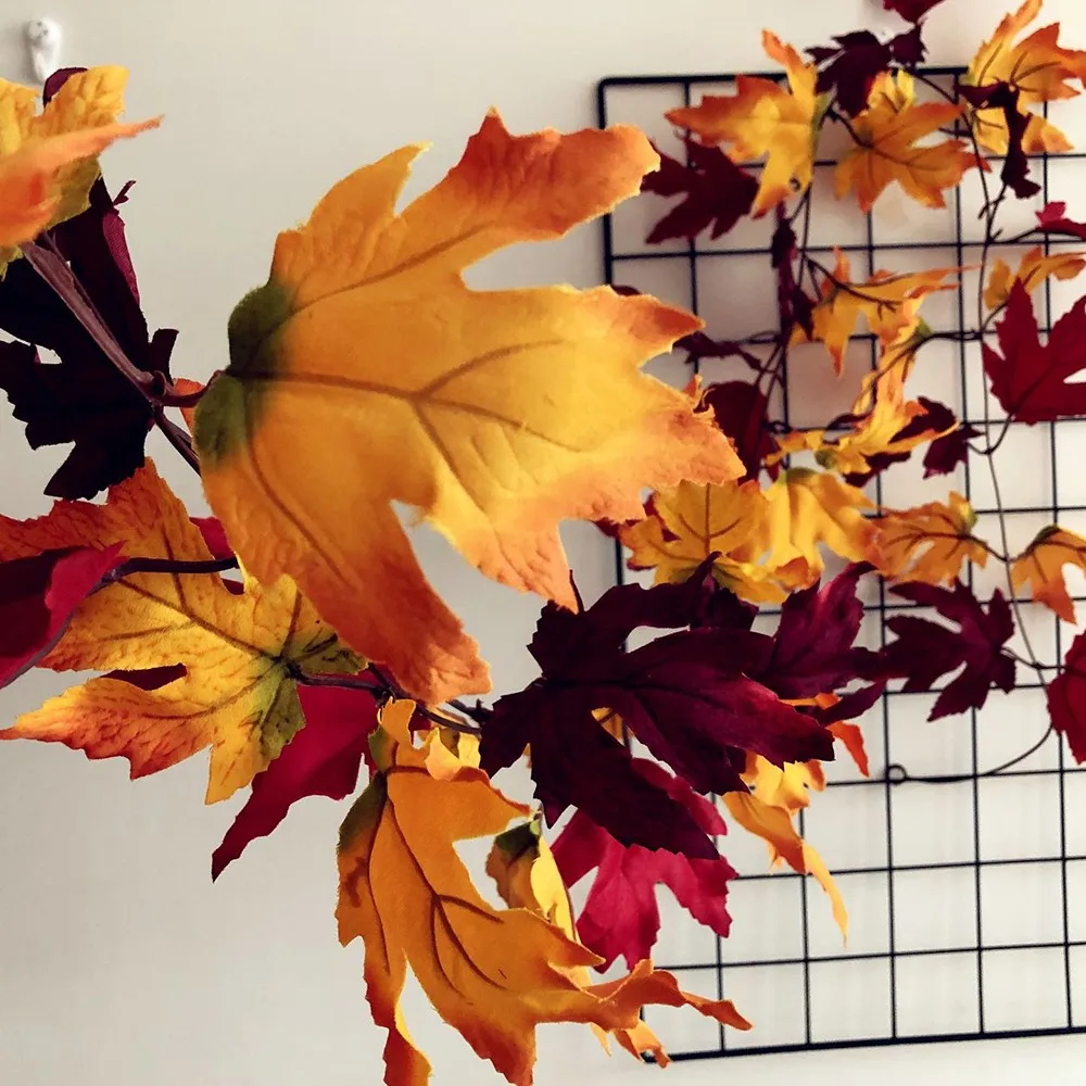 Эстетика питер осень картинки. Осенний несколько. Осенний лес с мостом. Коллаж осень. Прогулка осенью.