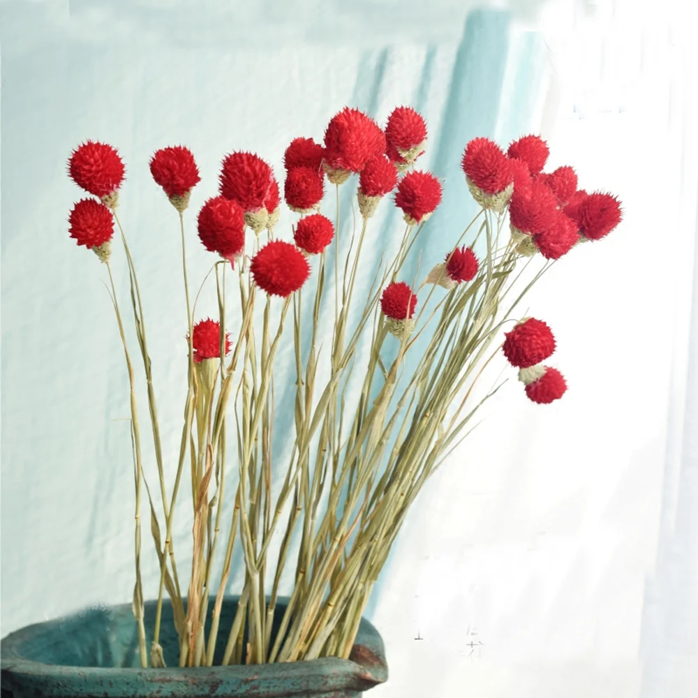 

20pcs dried flower bouquets naturally dired Gomphrena globosa bouquets&globe amaranth Flower bunches