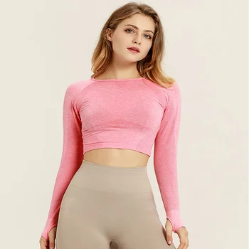 

Sexy Women Breathable Seamless Sleeved Sexy Crop High Stretch Tight Top