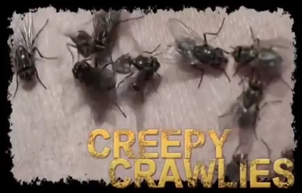 微信截图_20200802110933