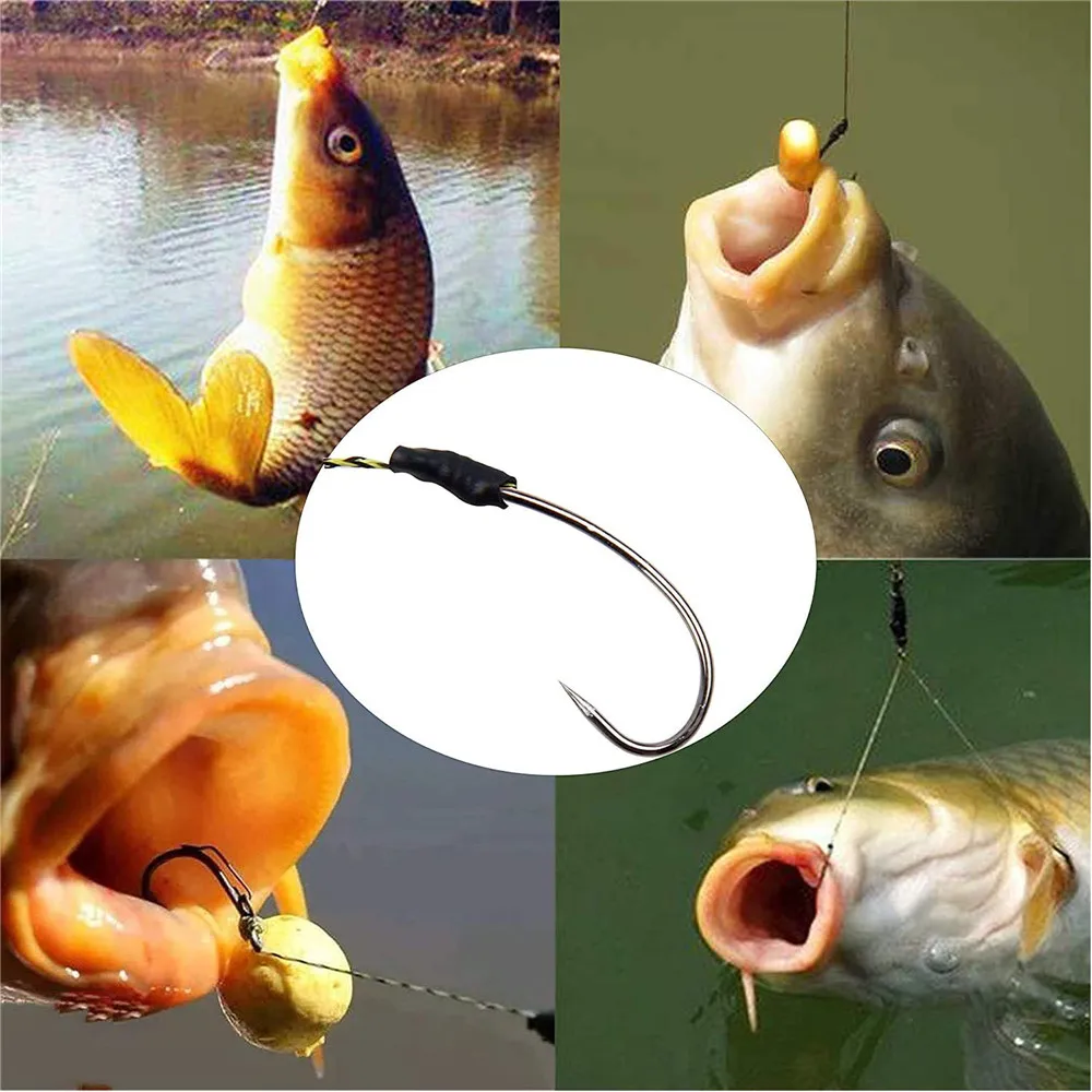 Barbless Fishing Hooks, Trout Barbless Hook, Carp Accessories