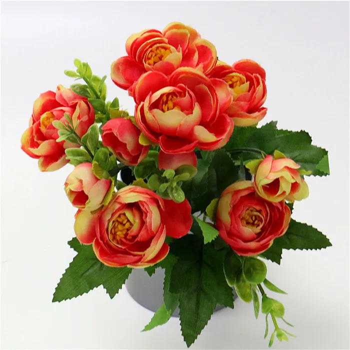 IMG_0050_副本_副本