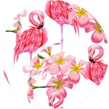 Colour 16 Попсокет расширяемая подставка для телефона и крепление с зажимом птица крепление в виде кольца на палец держатель для телефона держатель мобильного телефона Попсокет - Цвет: Colour 16
