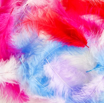 

Natural Feathers 100 Pcs/Lot 4-7cm 1-2 Inch Small Floating Goose Feather Colourful Feathers Plume For Decoration Plumes Craft