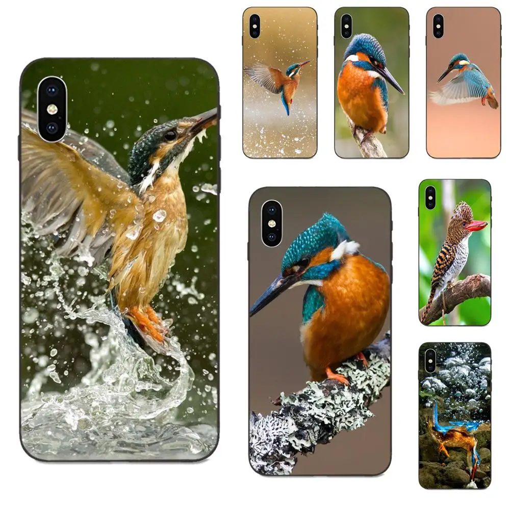 TPU Patterns Beautiful Animal Bird Kingfisher For Huawei Y3 Y5 II Y6 Y7 Y9 nova 2 Plus 2S 3i 4 4e Lite Prime 2017 2018 2019 | Мобильные
