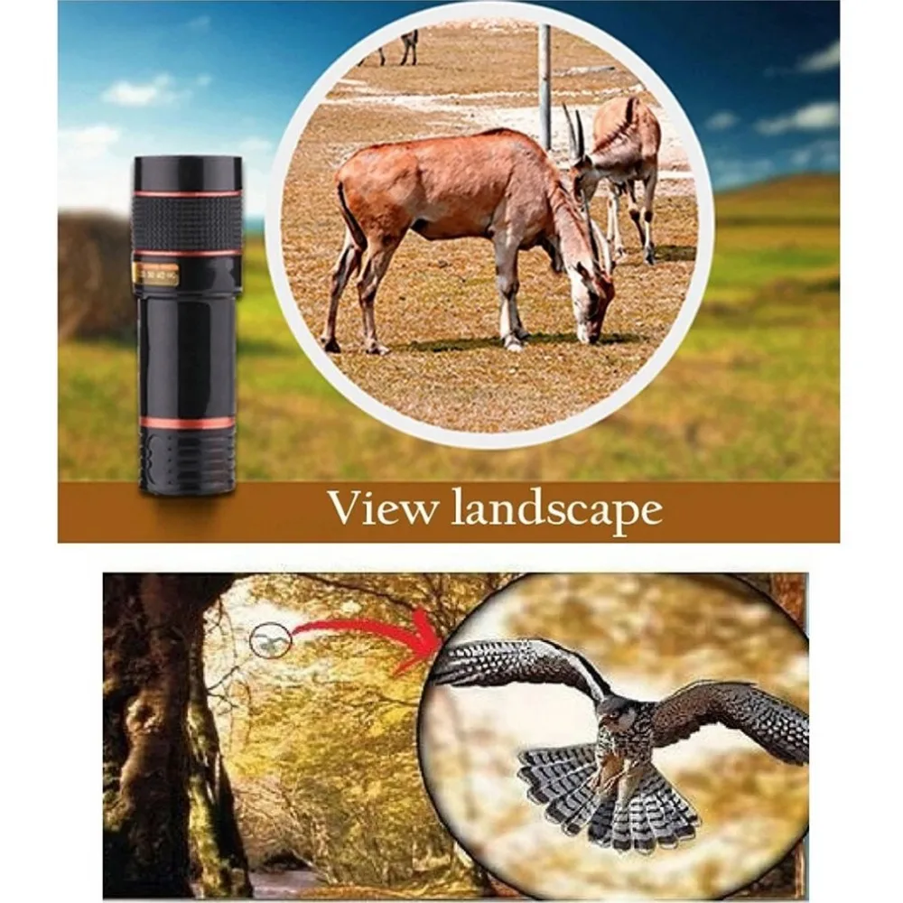 XD5822901-C-20190731-1