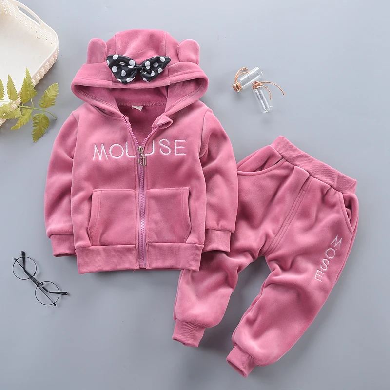 BibiCola/комплекты одежды для девочек; осенний детский плотный теплый костюм для девочек; детский Бархатный спортивный костюм для маленьких девочек; зимняя одежда - Цвет: picture color